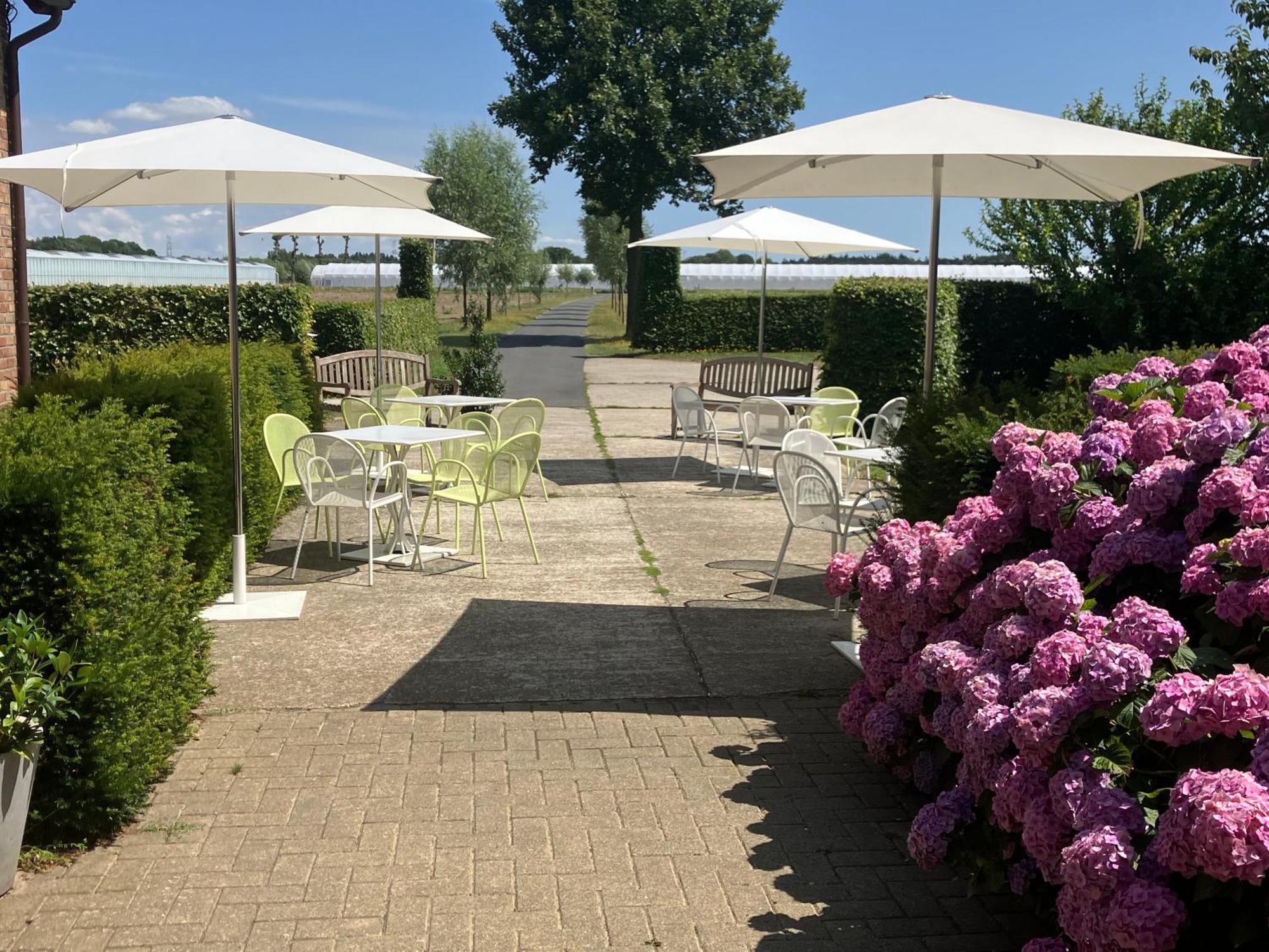 Tannine Et Cuisine Vila Jabbeke  Exterior foto